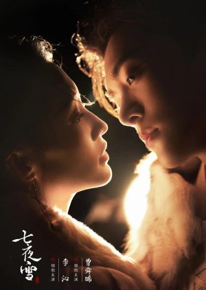 Snowy Night: Timeless Love (2024)